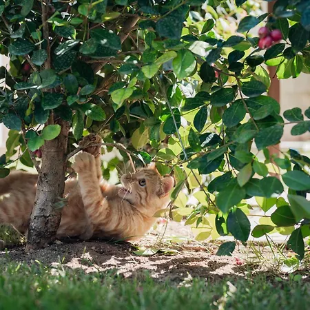 Masseria Longa Boutique Hotell 4*