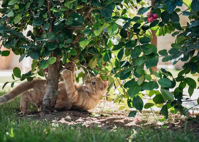 Masseria Longa Boutique Hotel 4*